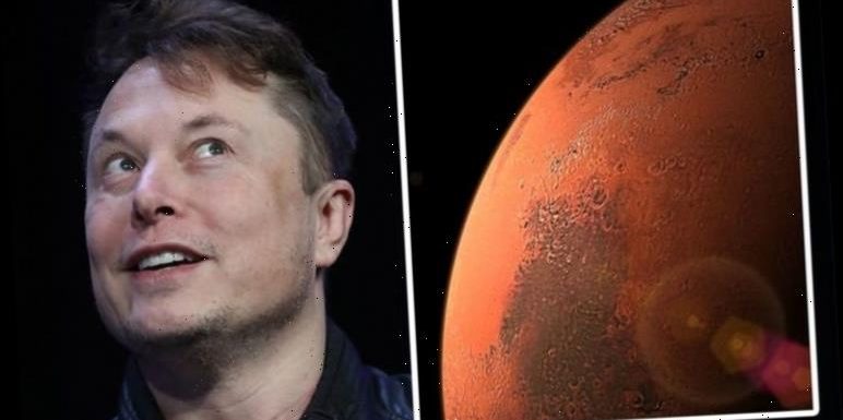 Elon Musk’s plan to send one million people to Mars boosted with colonisation