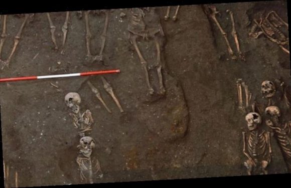 Archaeology news: Bone analysis reveals social inequality of medieval Cambridge