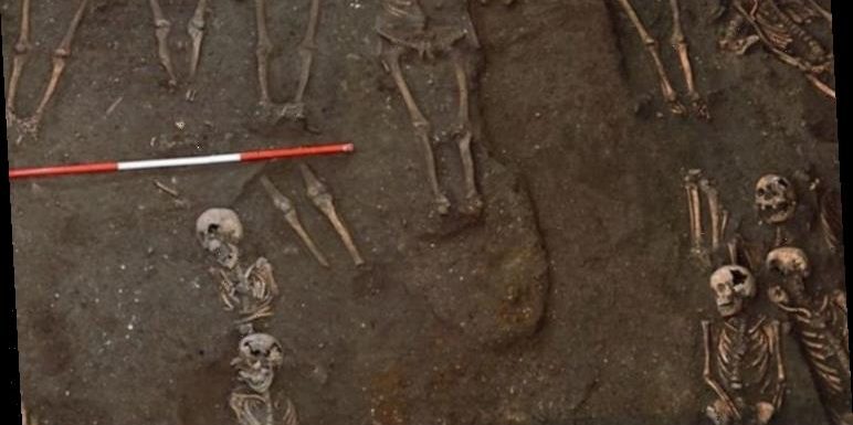 Archaeology news: Bone analysis reveals social inequality of medieval Cambridge