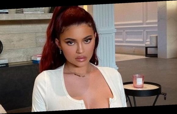 Kylie Jenner grabs assets as she flashes bra in skimpy top for eye-popping snap