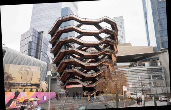 Man, 21, leaps from 150ft landmark Vessel in 'Hudson Yards suicide' – the second shocking case in just weeks