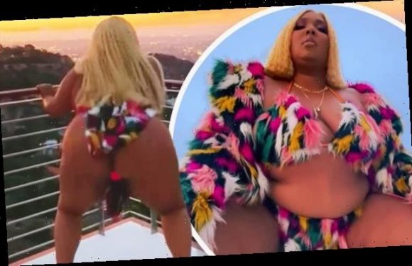 Lizzo shows off her derrière in a furry bikini as she twerks away