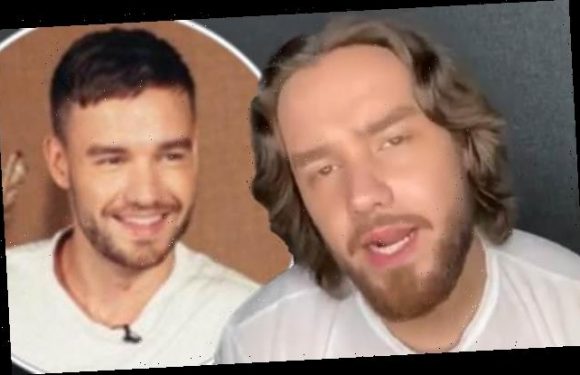 Liam Payne sends his adoring fans WILD with new lockdown look