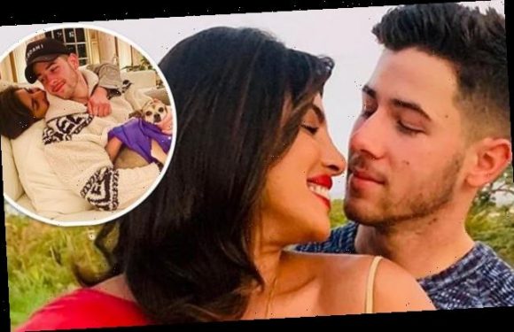 Priyanka Chopra wants 'as many kids' as she can have with Nick Jonas