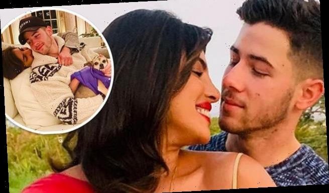 Priyanka Chopra wants 'as many kids' as she can have with Nick Jonas