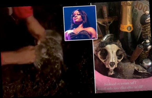 Azealia Banks creates altar with dead cat skull after digging up pet