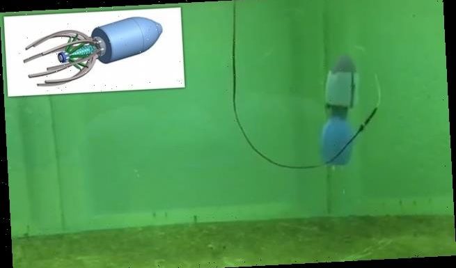 Jellyfish-inspired robot could explore underwater