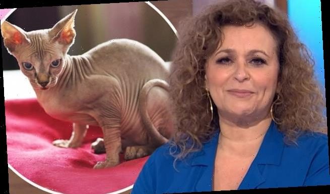 Loose Women viewers aghast as panel compare intimate parts to CATS