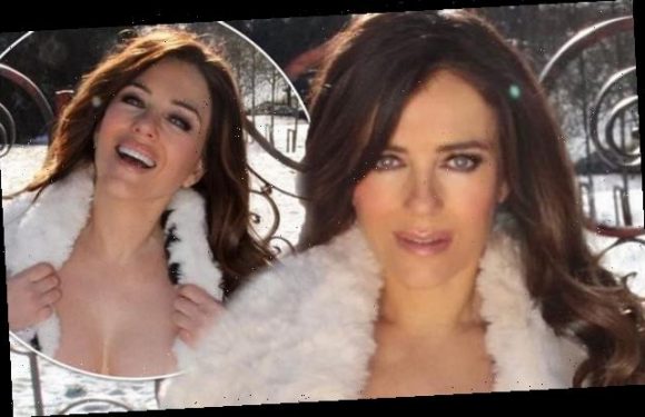 Elizabeth Hurley is flooded with requests to help fix the rusty gate