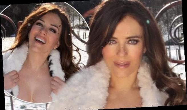 Elizabeth Hurley is flooded with requests to help fix the rusty gate