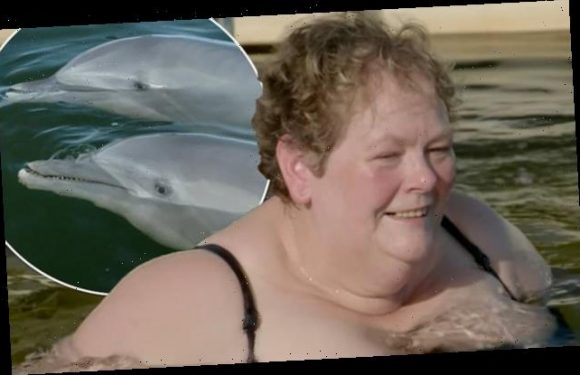 The Chase stars are SLAMMED by the RSPCA for swimming with dolphins