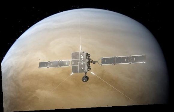 Hopes of finding life on Venus are dashed in new study