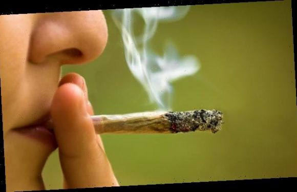 Smoking cannabis can make you less INTELLIGENT, study finds