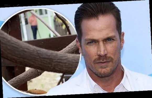 Jason Lewis apologizes for shooting rice balls to repel feral cats