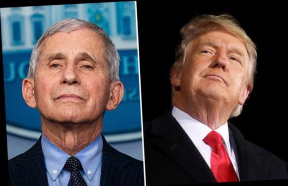 Dr Fauci claims 'macho guy' Trump thought Covid masks diminished his 'manhood' in stinging attack