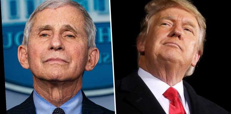 Dr Fauci claims 'macho guy' Trump thought Covid masks diminished his 'manhood' in stinging attack