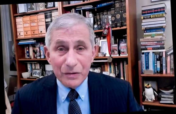 Fauci lays out US support for WHO under Biden administration