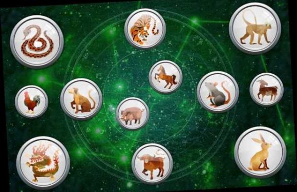 Daily Chinese Zodiac Thursday January 14: What your horoscope sign means for you today