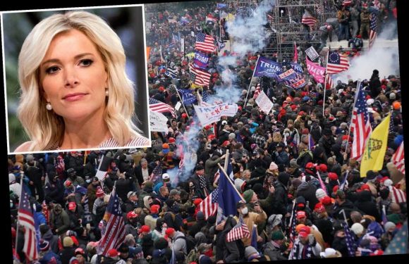 Megyn Kelly partially blames CNN, media for Capitol riot