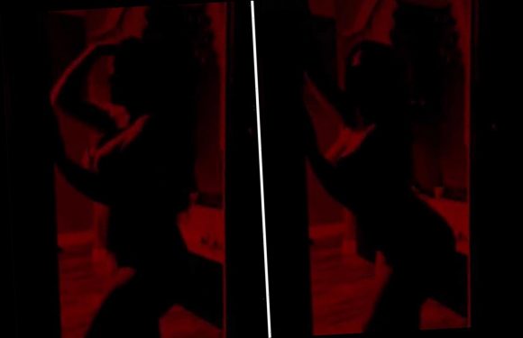 Teen Mom Jenelle Evans claps back at trolls who 'make fun of her body' by showing her curves in just lingerie on TikTok