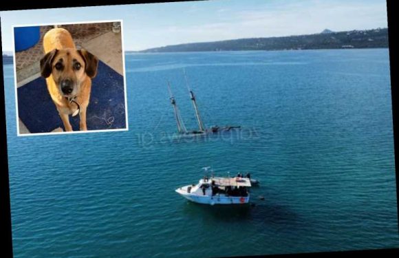 Brit expat found dead 'with one hand tied to deck' on sailing boat that sank despite clear weather
