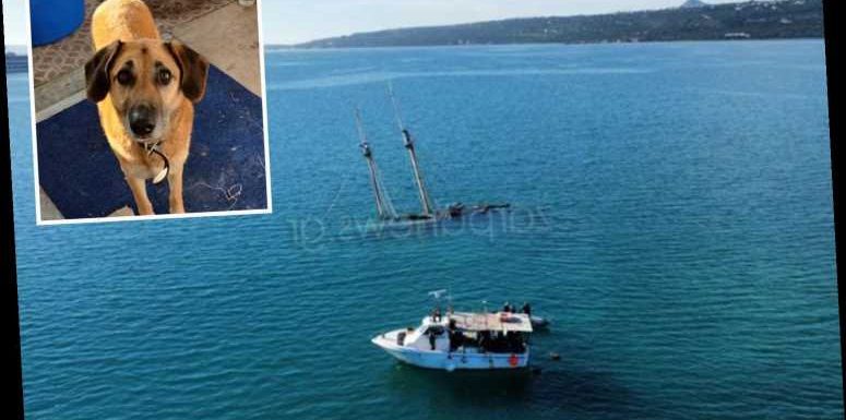 Brit expat found dead 'with one hand tied to deck' on sailing boat that sank despite clear weather