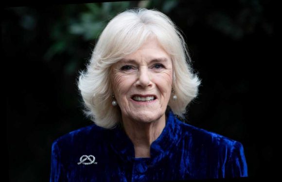 Camilla, Duchess of Cornwall Reveals Her Childhood Hobby as She Talks with Best-Selling Author