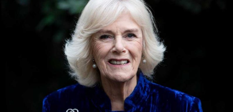 Camilla, Duchess of Cornwall Reveals Her Childhood Hobby as She Talks with Best-Selling Author