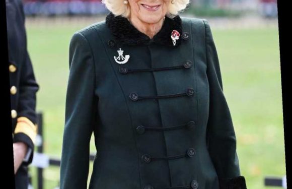 Camilla, Duchess of Cornwall Just Launched a New Instagram Account — Find Out Why