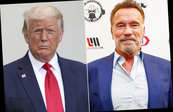 Arnold Schwarzenegger Calls Trump the 'Worst President Ever,' Compares Capitol Riots to Nazi Germany