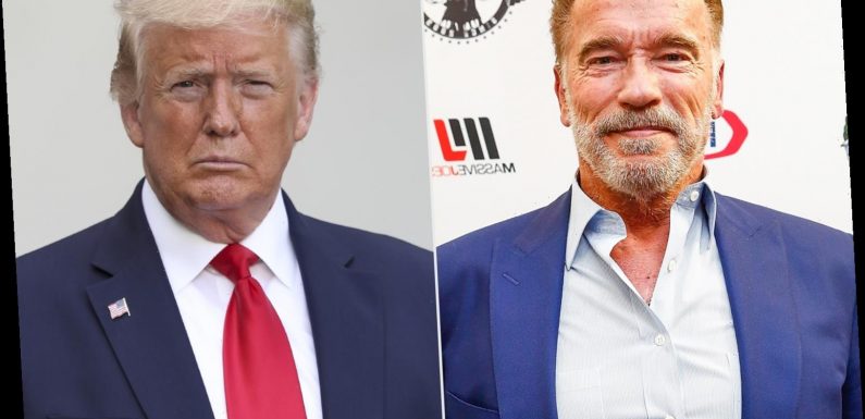 Arnold Schwarzenegger Calls Trump the 'Worst President Ever,' Compares Capitol Riots to Nazi Germany