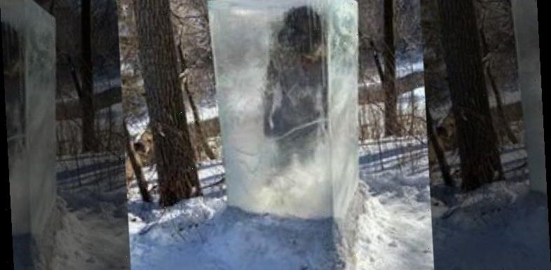 Minneapolis hikers surprised by frozen caveman sculpture