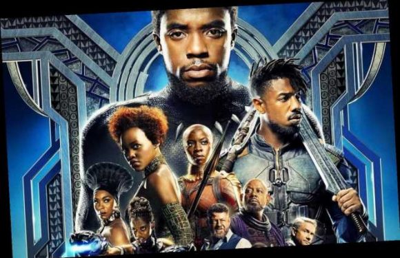 ‘Black Panther 2’ to Explore Other Characters and Different Subcultures