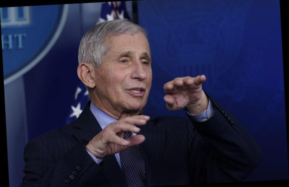 Fauci wins $1 million Israeli prize for 'defending science'