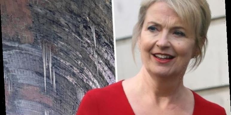 Carol Kirkwood urged to ‘take hard hat’ after worrying fans with icicles snap on cold walk