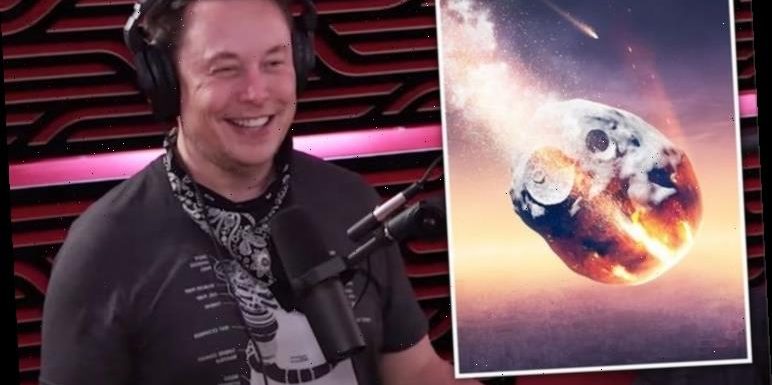 End of the world: Elon Musk warns life on Earth could ‘go out with a bang or a whimper’
