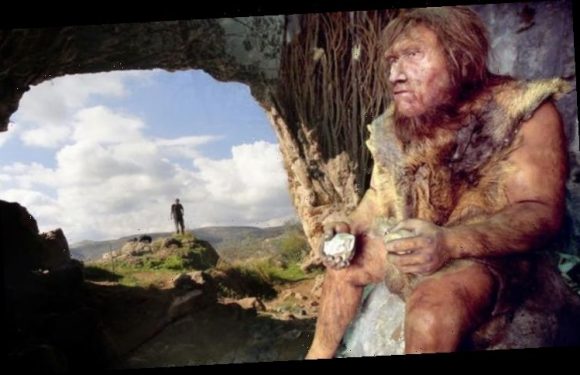 Archaeology news: Landmark study finds Neanderthals also used Homo sapiens technology