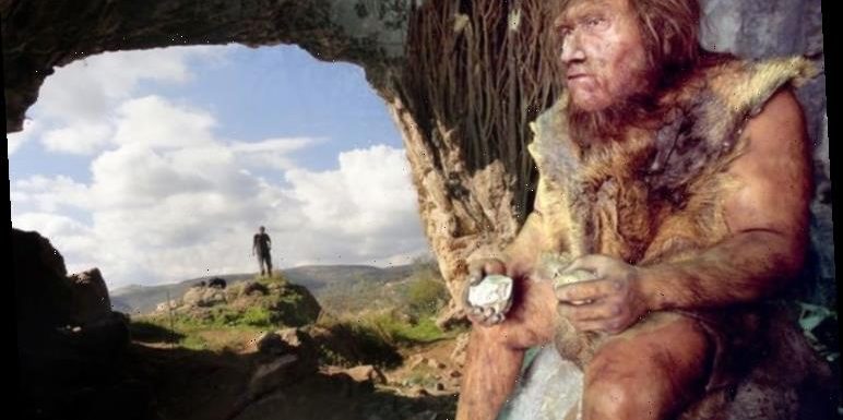 Archaeology news: Landmark study finds Neanderthals also used Homo sapiens technology