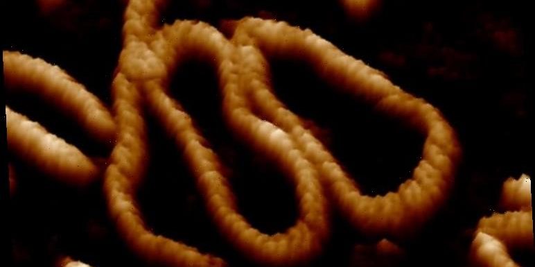 ‘Dancing DNA’ caught up-close in world’s highest-resolution pics and video of DNA molecule