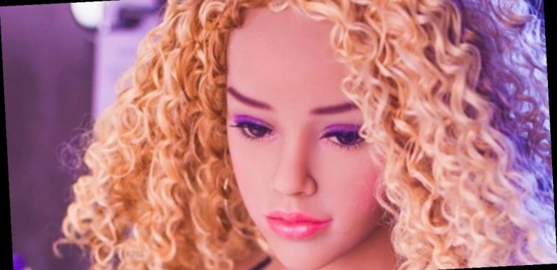 Life-sized sex doll called Kitty stolen by two men in £8,400 raid