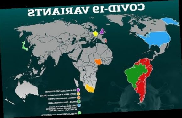 What do we know about the South African coronavirus variant?