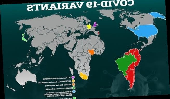 What do we know about the South African coronavirus variant?