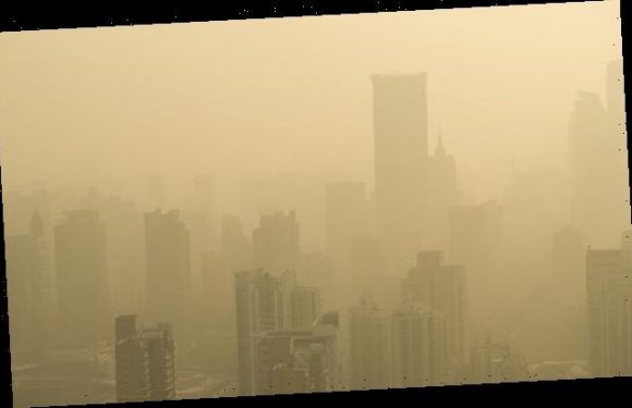 Exposure to smog in childhood can affect your cognitive skills