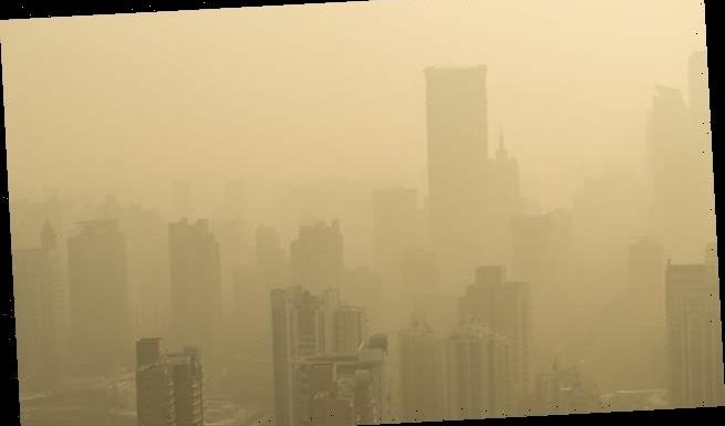 Exposure to smog in childhood can affect your cognitive skills