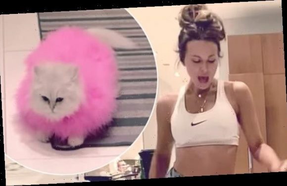 Kate Beckinsale dances around pet cat Willow in playful video