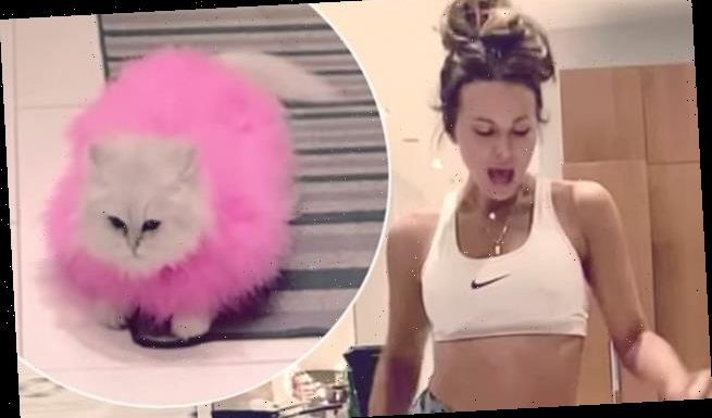 Kate Beckinsale dances around pet cat Willow in playful video