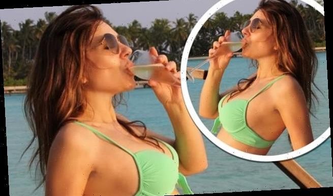 Elizabeth Hurley sips on glass of champagne during 'pretend holiday'