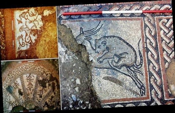 1,600-year-old Roman mosaic is SAVED by a museum