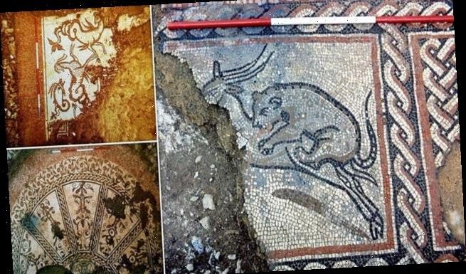 1,600-year-old Roman mosaic is SAVED by a museum