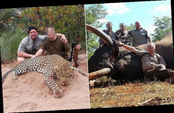 Hunter offering 'plentiful' endangered animals to kill in South Africa